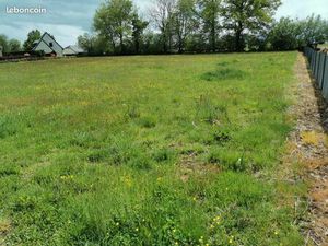 Terrain constructible