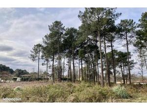 Terrain 600 m² Brach