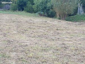 Terrain 1 200 m² Saint Romain La Virvee