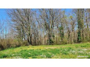 Forêt 1 450 m² Montussan