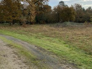 Terrain constructible - Libre de constructeur - 1100 m2 - 33830 BELIN-BELIET - Quartier ca