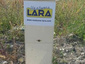 Terrain 443 m² Medis