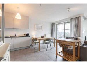 Appartement récent a vandre à Saint-Idesbald!