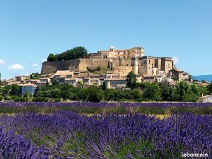 Local Restaurant - Gros potentiel