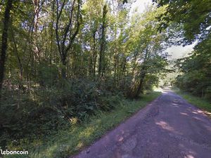 Beau Terrain de loisirs boisé