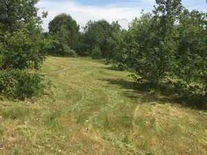 Terrain agricole - 4 hectares constructible pour une activité agricole