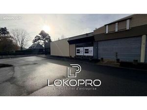 Local 440 m² Cholet