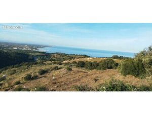 Vente vigne sur Collioure