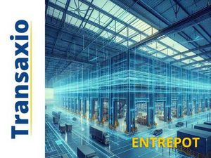 TRANSAXIO SERVICES ET DEVELOPPEMENT