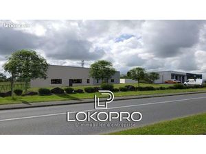 Local 480 m² Sèvremoine
