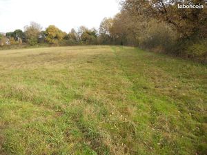 Terrain constructible