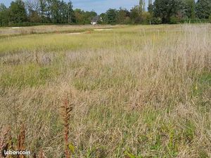 Terrain 750 m² Cadaujac