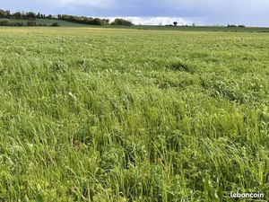 Terrain 1 414 m² Mansle