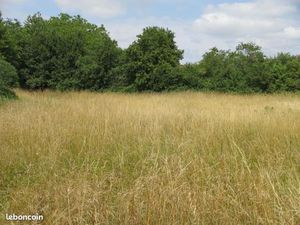 Terrain 2 018 m² Mansle