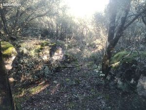 Terrain de loisirs boisé 6000m2