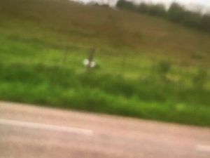 Terrain à louer pour des animaux ou à vendre