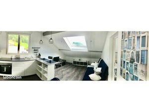 T2 mansardé 46m2 au sol/29m2 hab  rénové  très lumineux- Gières