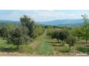 Recherche terrain trufficulture