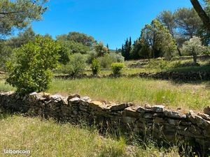 Oliveraie Terrain de loisirs - Spéculation Placement Cadeau ? de Noël / Petit bout de Prov