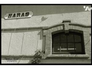 Maison 10 pièces 250 m²