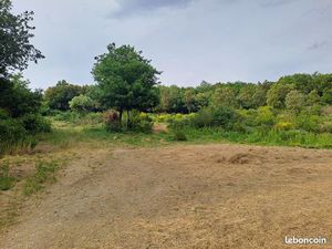 Terrain 45 hectares