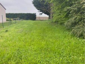 Terrain constructible