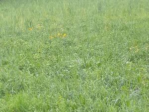 Rare terrain constructible bourg d'oisans