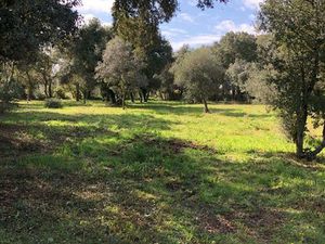 Terrain entièrement viabilisé 1 5 hectares