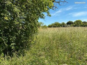 Terrain 702 m² Gemil