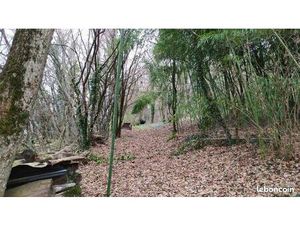 Vends terrain boisé