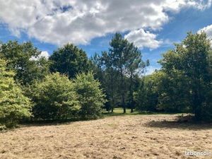 Terrain 501 m² Le Taillan Medoc