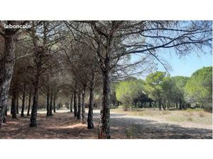 Échange maisonnette à la Grande-Motte contre Maison de campagne