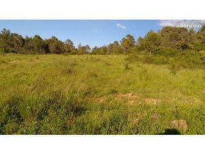 Terrain agricole / de loisirs