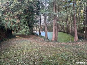 Étang en pleine nature