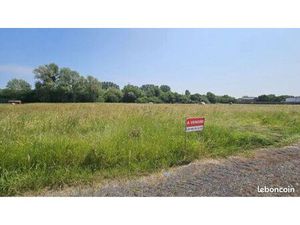 Terrain constructible