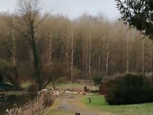 Propriété avec 3 maisons