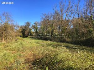 Terrain 1488 m² Mauguio