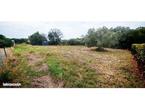 Terrain constructible cloturé Laurens 34 Hérault proche bois