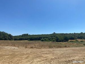 Terrain agricole – Proche Pézenas – Environ 5 000 m²