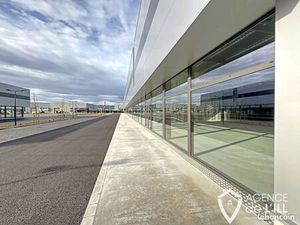 Local 595 m² Colmar