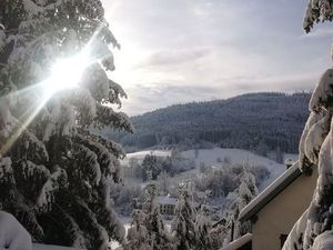Maison atypique au cœur de la nature et proche des grandes villes – Steige (Alsace – Vosge