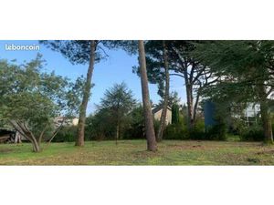 Pepite à saisir dernier terrain du secteur