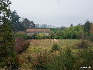 Terrain constructible