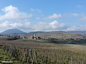 Ensemble immobilier sur la route des vins