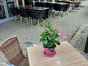 Snack bar restaurant