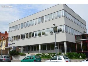 Local professionnel / commercial