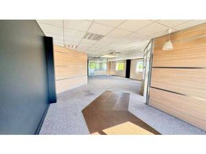 STELLANGEL IMMOBILIER