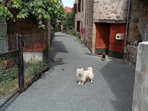 Maison deux logements