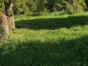 Terrain constructible de 1700 m2