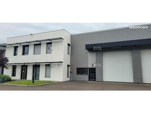 Local d'activité 491 m²